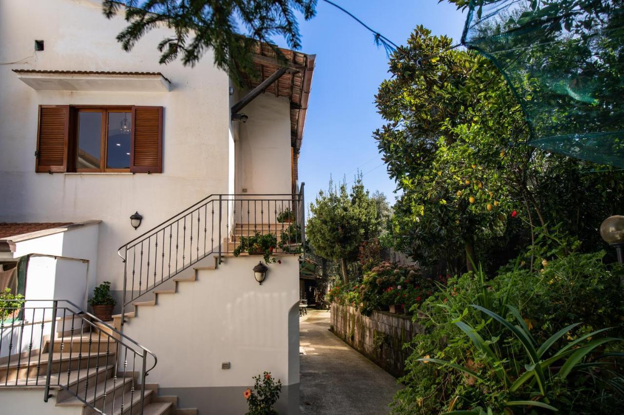 Mediterranean House 索伦托 外观 照片